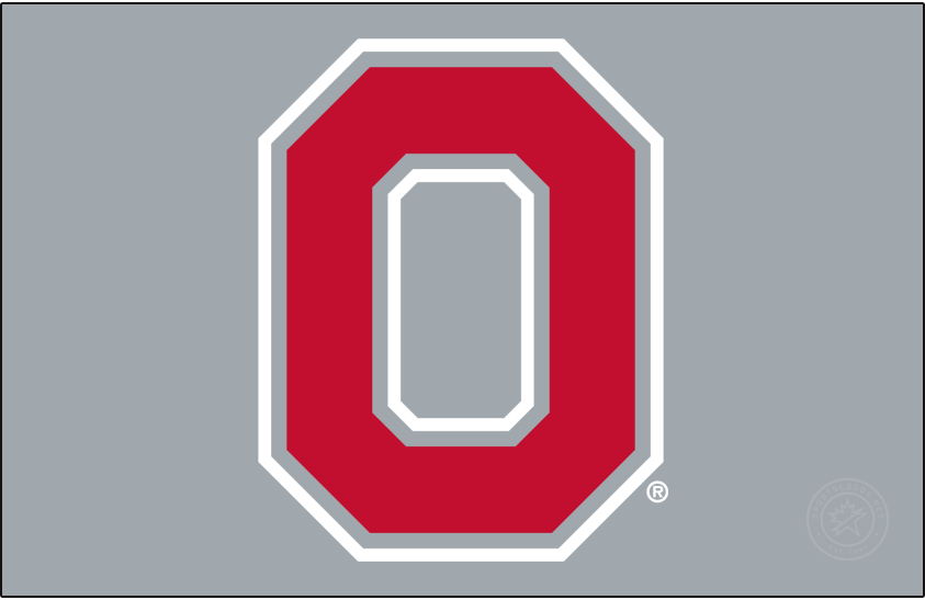 Ohio State Buckeyes 1991-Pres Secondary Logo v2 diy iron on heat transfer